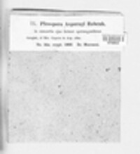 Image Associated With the Occurence